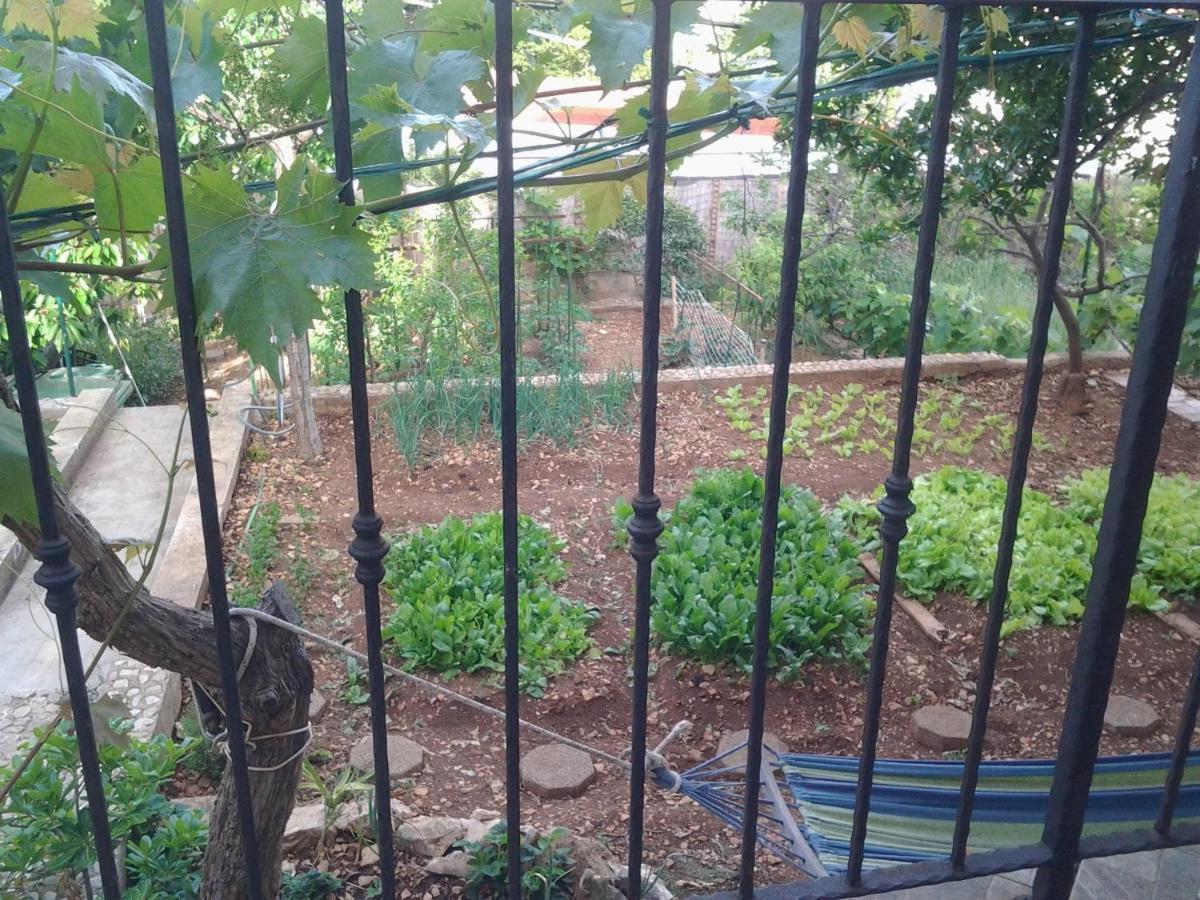 שיבניק Apartment Mile מראה חיצוני תמונה
